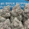 Cereal Milk (Hybrid)