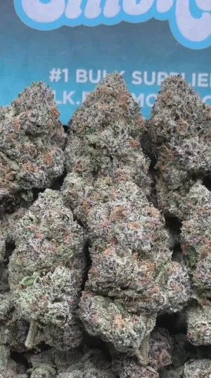 Zookies (Indica Hybrid)