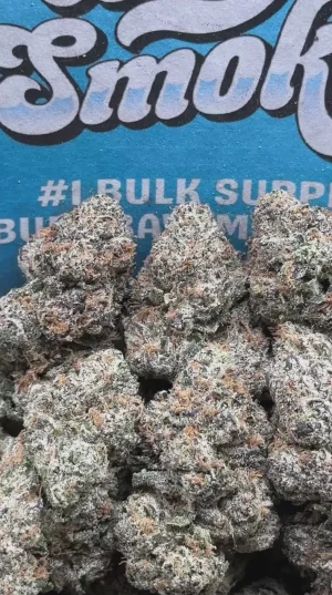 aa9a7ed945a84020bc2e0a30b92589c9.thumbnail.0000000000 Zuper Candy (Indica)