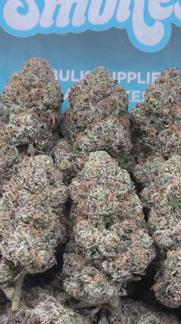 Georgia Pie (Indica Hybrid)