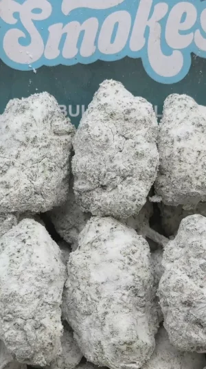 Gelato Paloma-Watermelon 🍉 Terped Snowballs