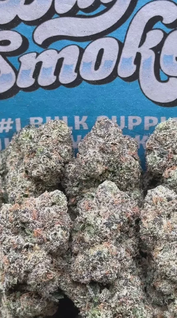 17b6f15148154339ae43520d4029659e.thumbnail.0000000000 Black Cherry Gelato (Indica)