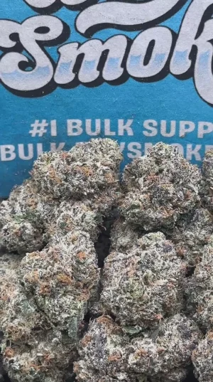 Gelato 45 (Indica Hybrid)
