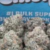 Gelato 45 Snowballs (Indica)
