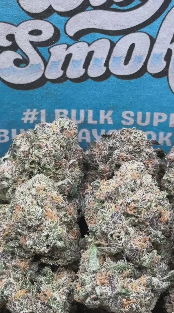 Gelato 45 Snowballs (Indica)