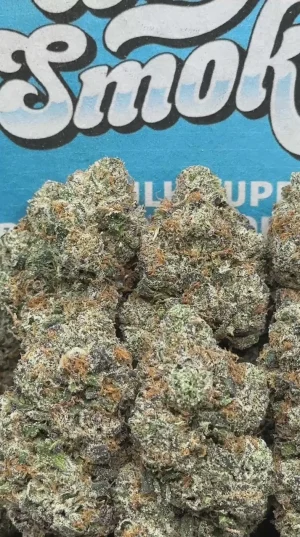 Black Cherry Runtz (Hybrid)