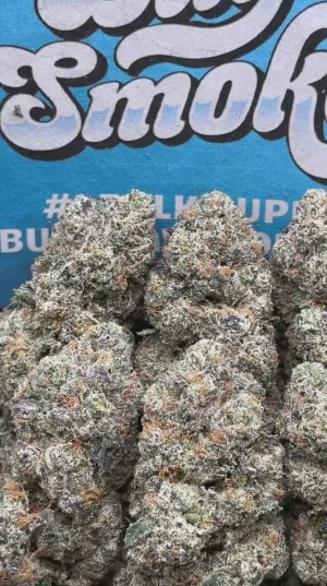 Gelatti (Indica)