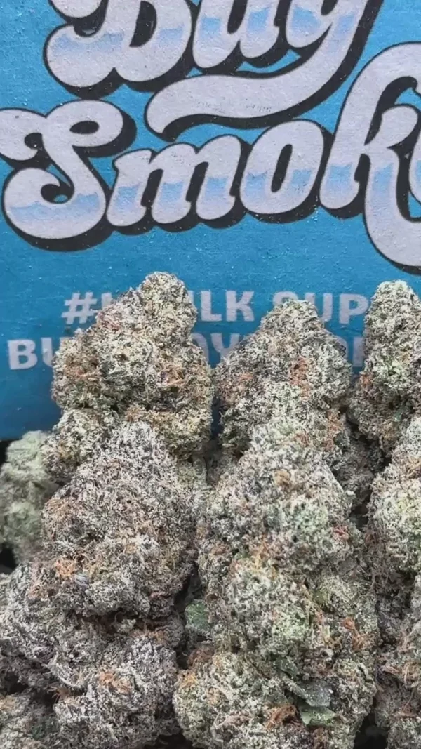 c6223f7c1dbd4c8b9c94a9b12d9b22ce.thumbnail.0000000000 White Cherry Gelato (Indica Hybrid)