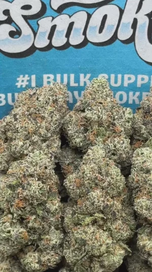 Purple Push Pop(Indica)
