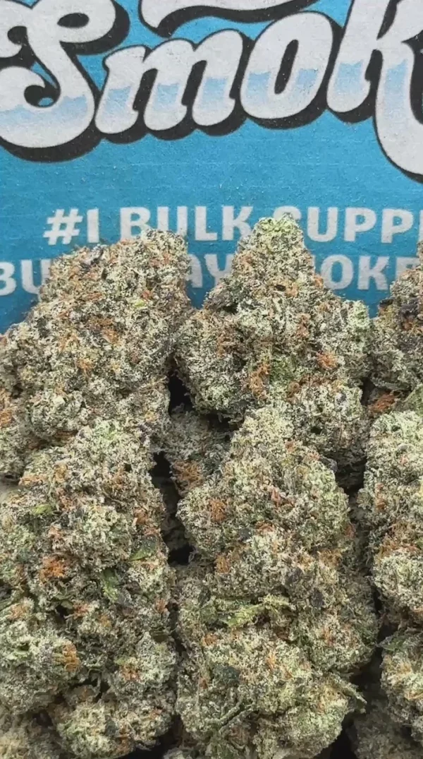 ce293636d63646ab843dc52967a84829.thumbnail.0000000000 Purple Push Pop(Indica)