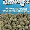 Cherry Cake SM (Indica)