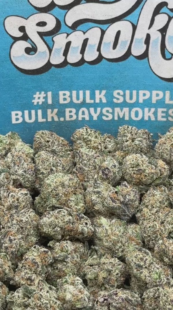 Black Cherry Gelato SM (Hybrid)