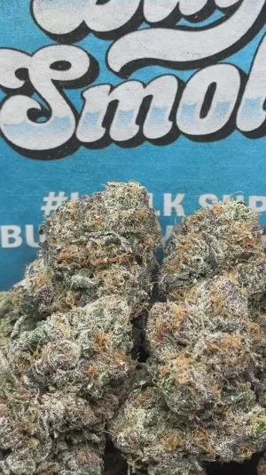BANG (Indica)