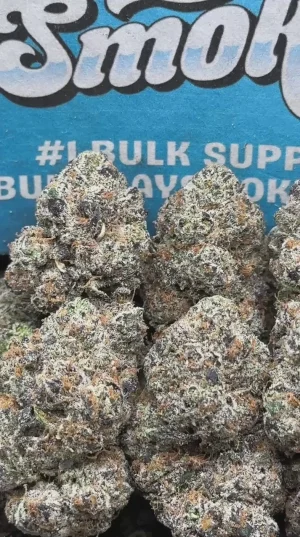 e690d30313064182adf66f98b5ee3060.thumbnail.0000000000 Grape Soda(Hybrid)