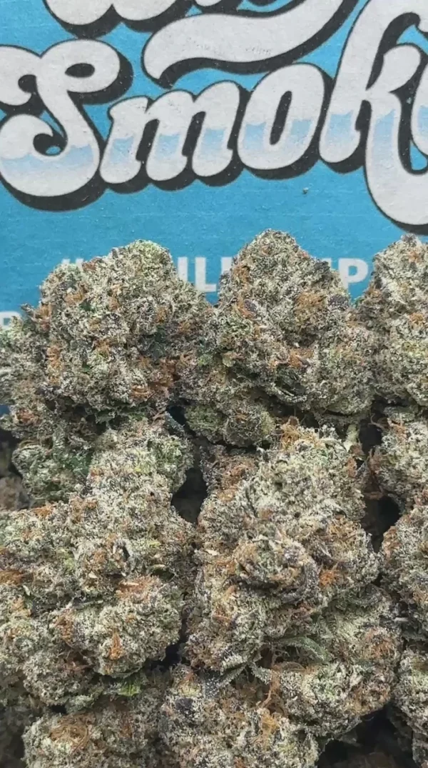 Jealousy X Gelato (Indica)