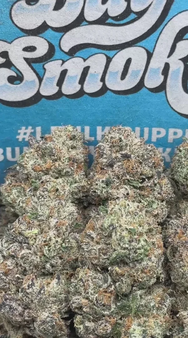 Apple Fritter (Indica)