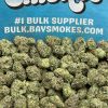 Georgia Pie SM (Hybrid)