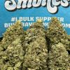 GMO X Zkittles (Hybrid)