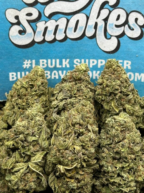 GMO X Zkittles (Hybrid)