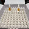 Live Rosin Cartridge (50 Box)