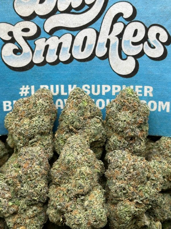 Space Junky (Hybrid) Space Junky (Hybrid)